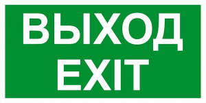 Пиктограмма &quot;выход exit&quot; 260х100мм